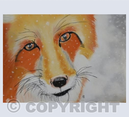 Snow Fox