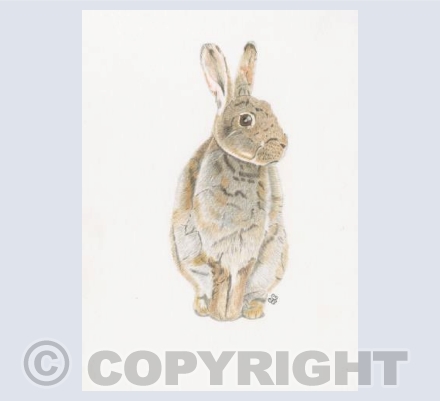 The Thankful Visitor