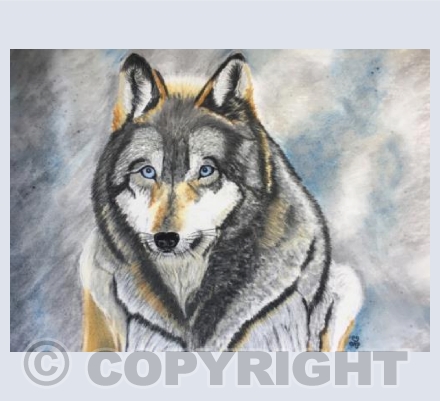 Grey Wolf Wisdom