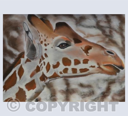 An Eye To The Future