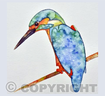 Kingfisher