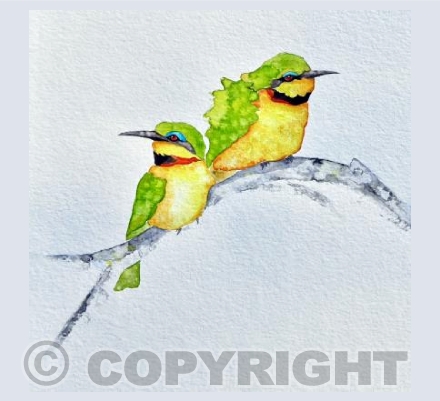 Little Bee-eaters