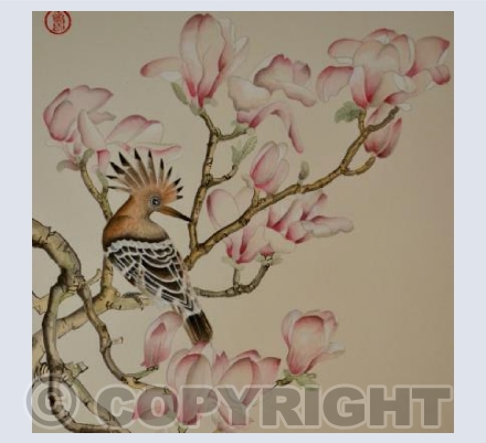 Hoopoe in the Tulip Tree