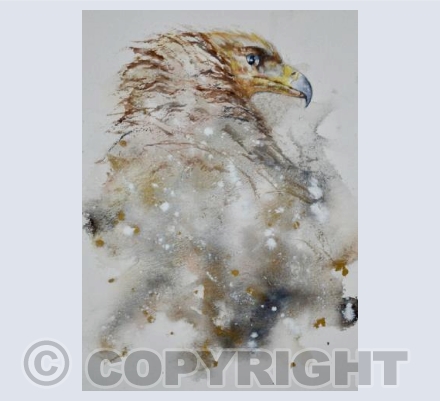 Eagle