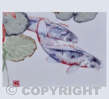 Koi Carp