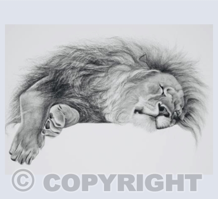 The Lion Sleeps