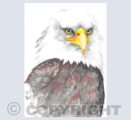 Golden Eagle