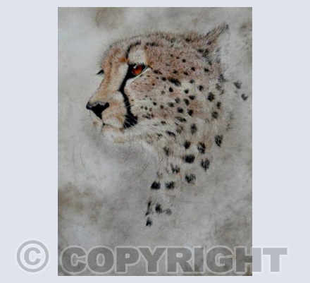 Cheetah's disguise