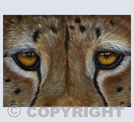 The Eyes of a Leopard