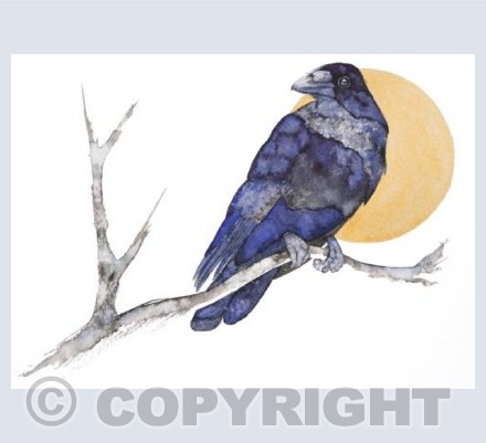 Moonlit Raven