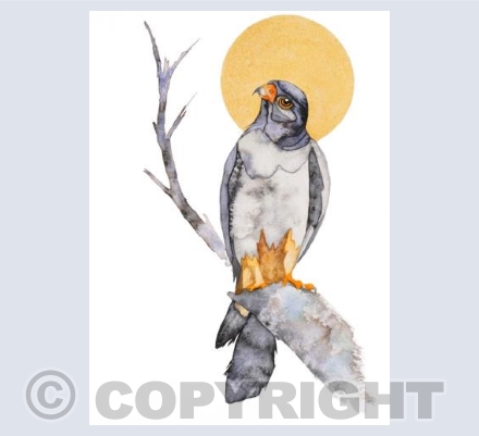 Moonlit Falcon
