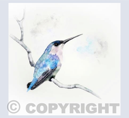 Blue Hummingbird Square