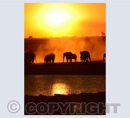 Cobe river sunset