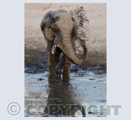 Cooling Off