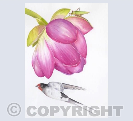 swallow and Lotus flower