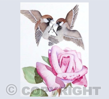 Squabbling Sparrows