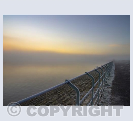 Heron's Green Railings