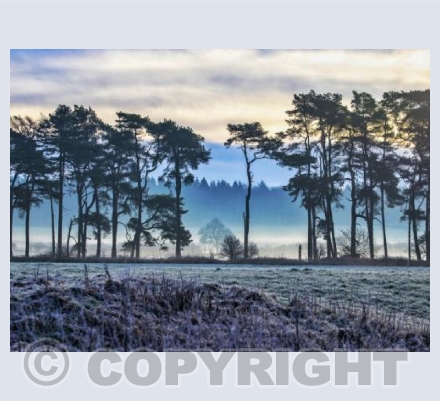 Mineries - Lone Tree