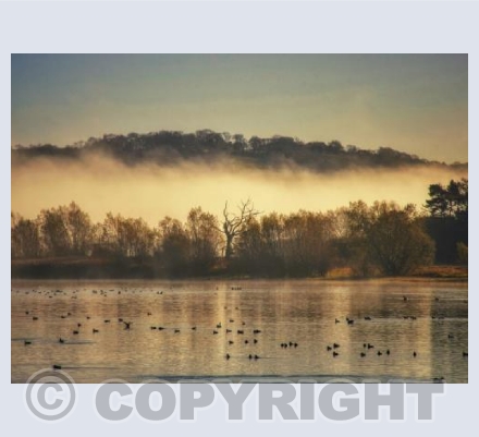 Mist settling behind Moreton Point
