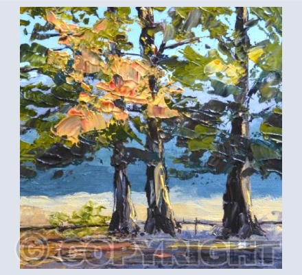 Catching The Morning Rays