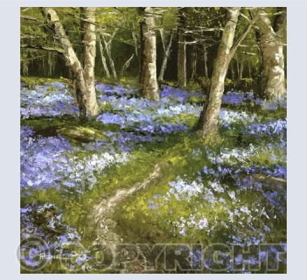 If You Go Down To The Woods Today