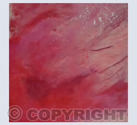 Square Pink 1