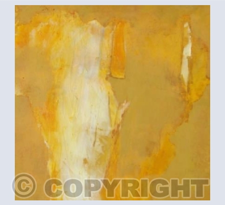Yellow rudder