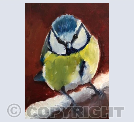 Blue tit in the snow