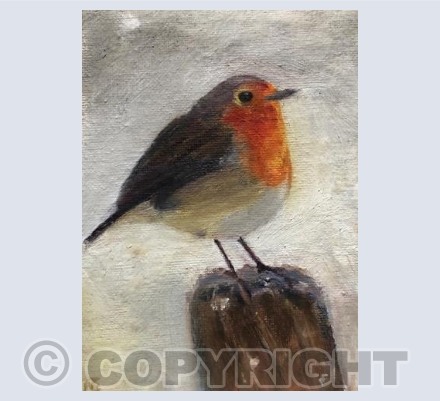 Robin in a snow storm