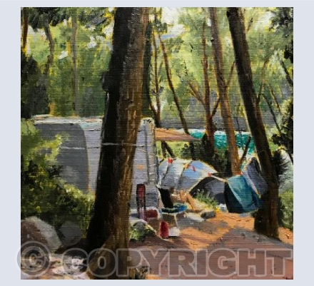 ‘Camping in the trees’