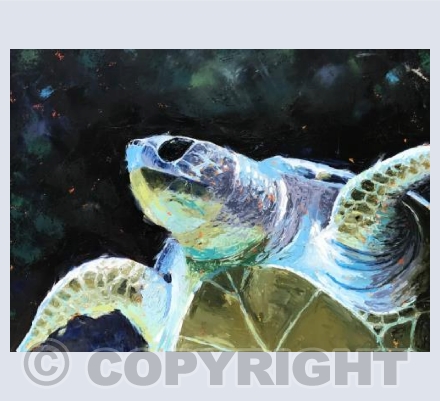 Tranquil turtle