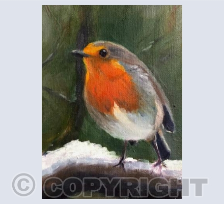 Festive Robin