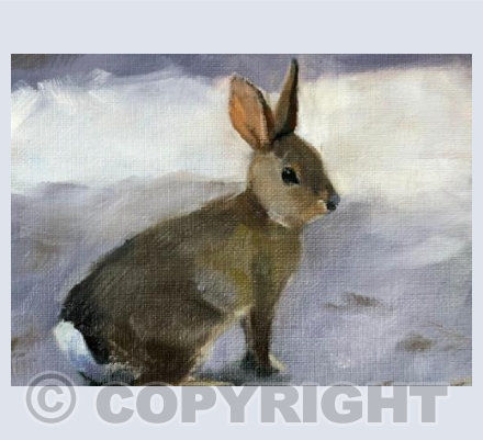 Frosty bunny