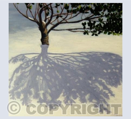 winter - a time for reflection