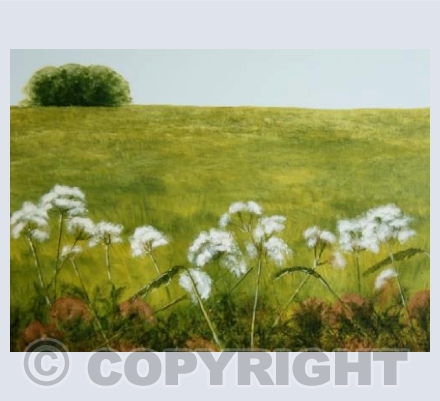 summer breeze