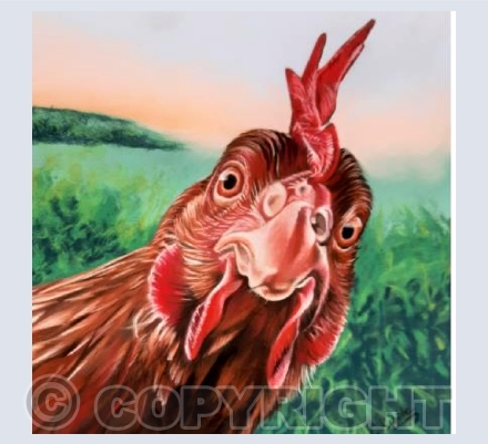 Cheeky Chicken
