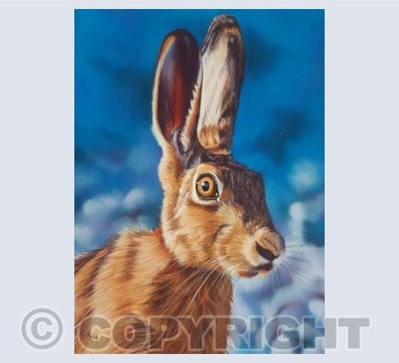 Wiltshire Hare