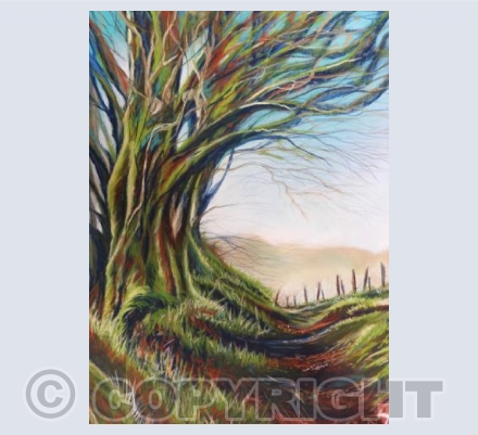 Woodland Path