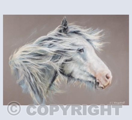 Wind Swept