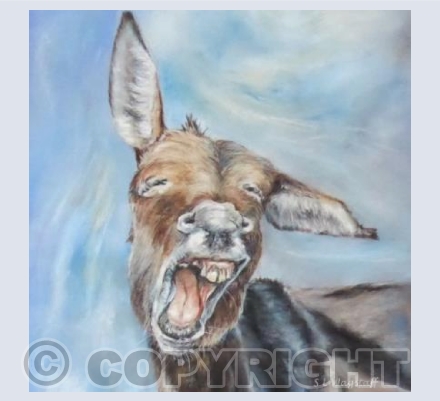 Donkey