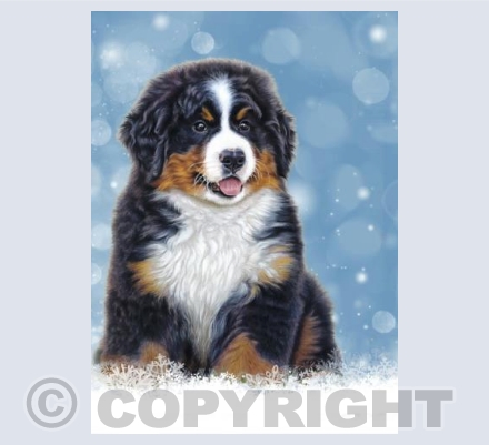 Puppy Love - Snow