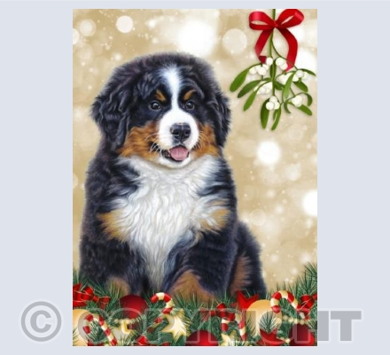 Puppy Love - Xmas