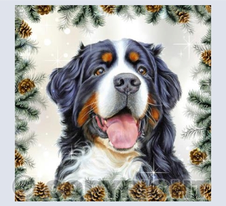 Joyful Xmas