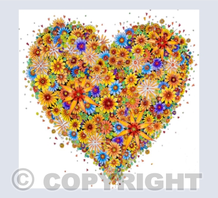 Sunshine Heart