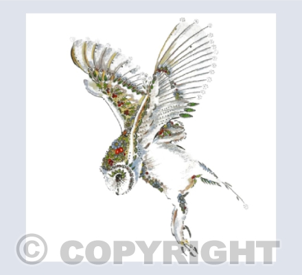 Rosehip Barn Owl