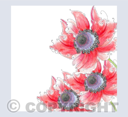 Three Frilly Poppies