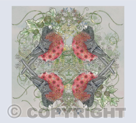 Bullfinch grey