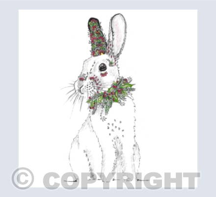 Snowshoe Hare