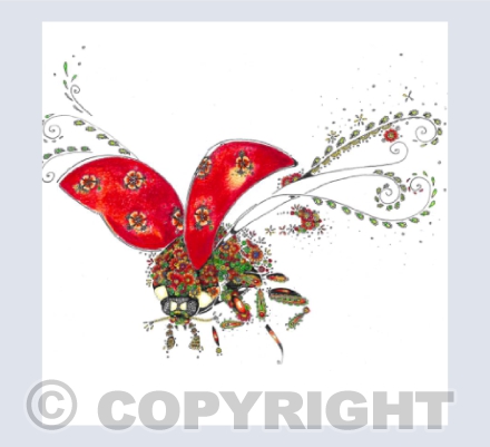 Ladybird