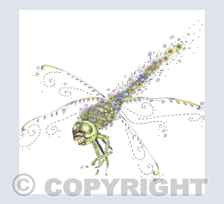 Green Dragonfly